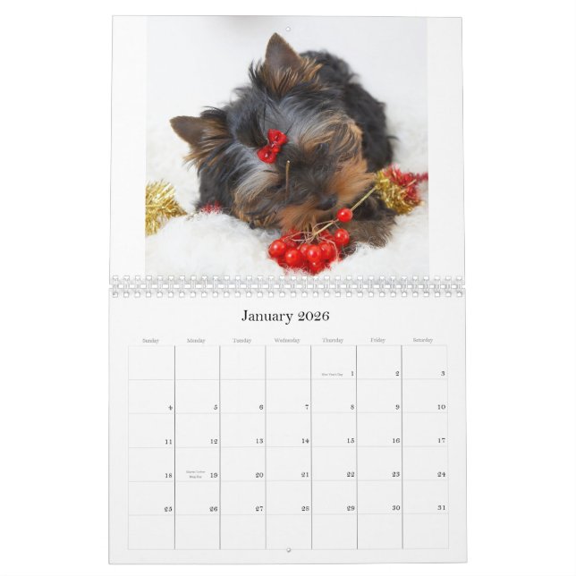 Yorkshire Terrier Calendar (Jan 2026)