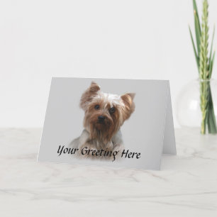 Yorkshire Terrier Card