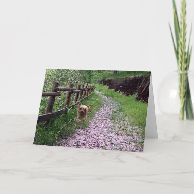 Yorkshire Terrier Card (Front)