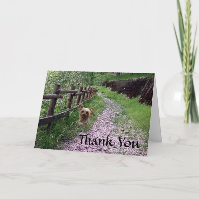 Yorkshire Terrier Card Thank You (Front)