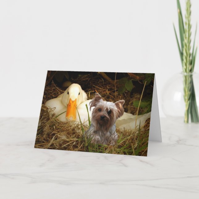 Yorkshire Terrier Card With Duck (Front)
