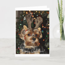 Yorkshire Terrier Christmas Card