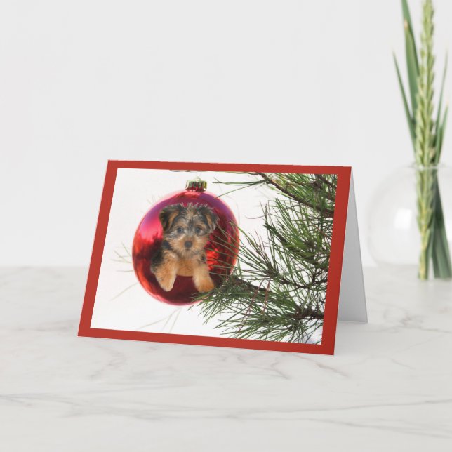 Yorkshire Terrier Christmas Card Ball Hanging (Front)