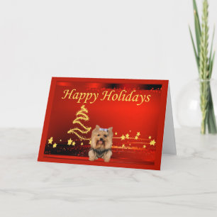 Yorkshire Terrier Christmas Card Stars