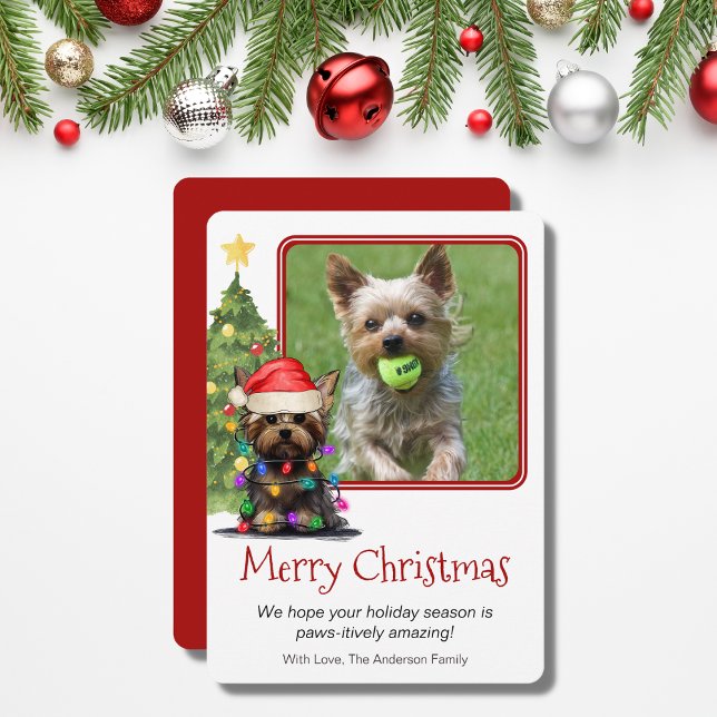 Yorkshire Terrier Christmas Pet Dog One Photo Holiday Card (Creator Uploaded)