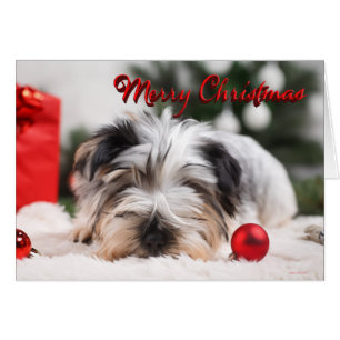 Yorkshire Terrier Cute Merry Christmas 