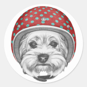 Yorkshire Terrier Daredevil Classic Round Sticker