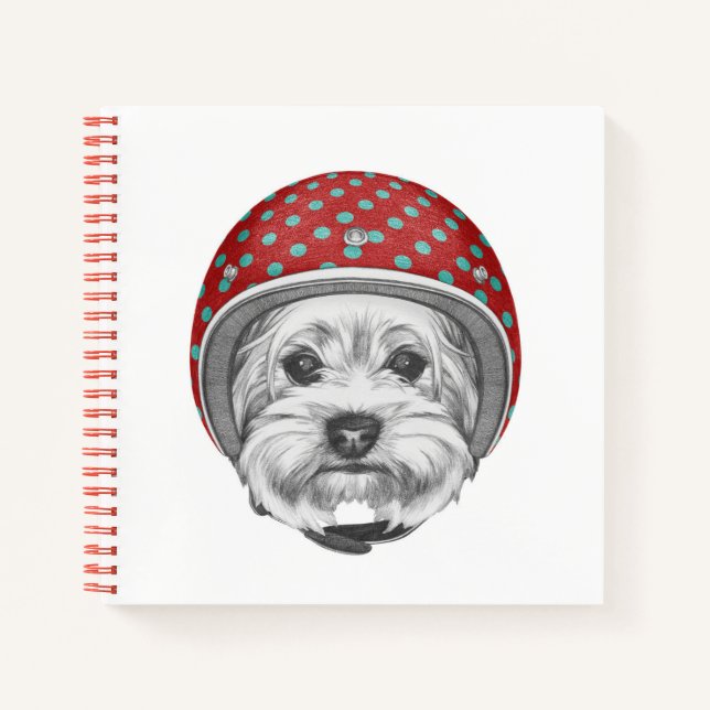 Yorkshire Terrier Daredevil Notebook (Front)