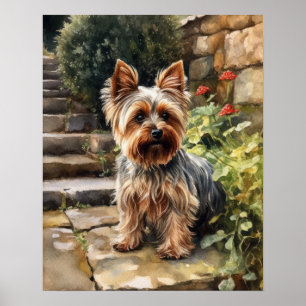 Yorkshire Terrier Dog Art Print Poster