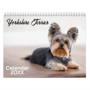 Yorkshire Terrier Dog Calendar 2025
