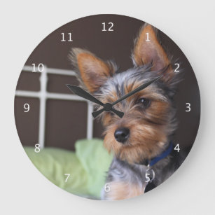Yorkshire Terrier dog cute beautiful clock
