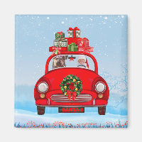 Yorkshire Terrier Dog In Car With Santa Claus