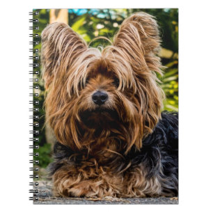Yorkshire Terrier Dog Notebook