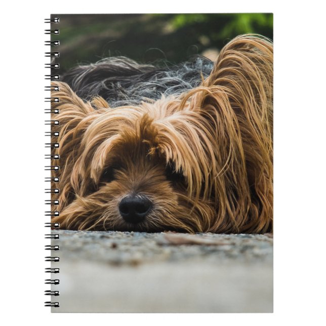 Yorkshire Terrier Dog Notebook (Front)