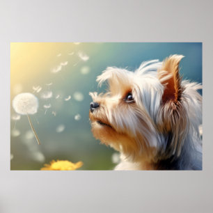Yorkshire Terrier Dog Pet Animal Poster