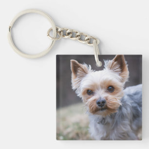 Yorkshire terrier, Dog, Pet Key Ring