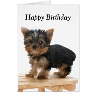 Yorkshire Terrier Cards & Invitations | Zazzle.co.uk