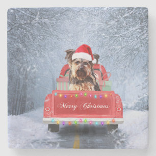 Yorkshire Terrier Dog Snow sitting in Christmas Stone Coaster