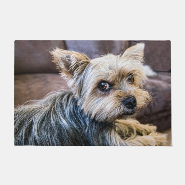 Yorkshire Terrier Doormat (Front)