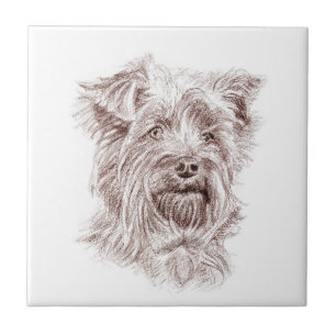 Yorkshire Terrier Drawing Tile