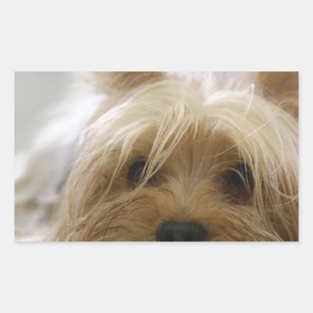 Yorkshire-terrier flat.png rectangular sticker (Front)