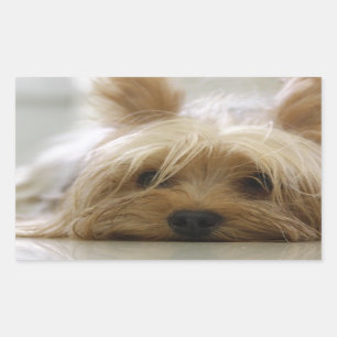 Yorkshire-terrier flat.png rectangular sticker