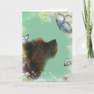 Yorkshire Terrier Greeting Card