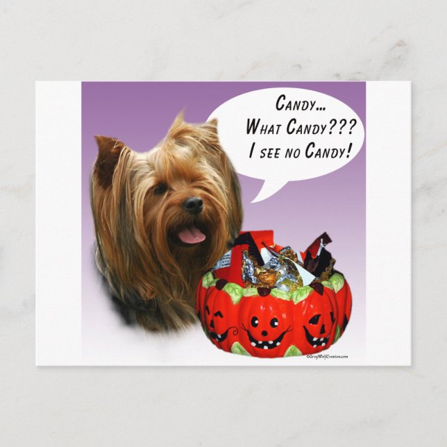 Yorkshire Terrier Halloween Candy Postcard (Front)