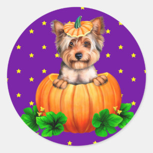 Yorkshire Terrier Halloween Jack-O-Lantern Classic Round Sticker