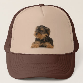 Yorkshire Terrier Hat