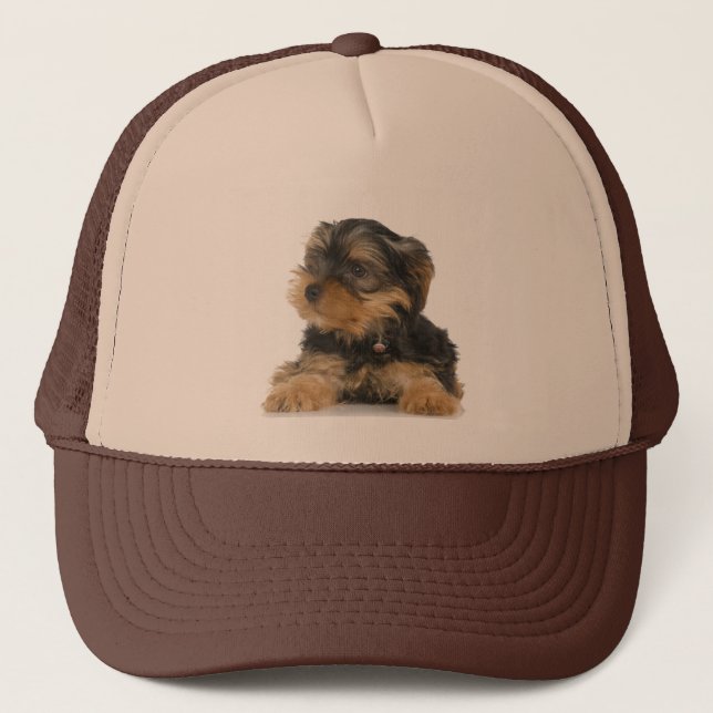 Yorkshire Terrier Hat (Front)