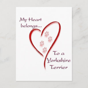 Yorkshire Terrier Heart Belongs Postcard