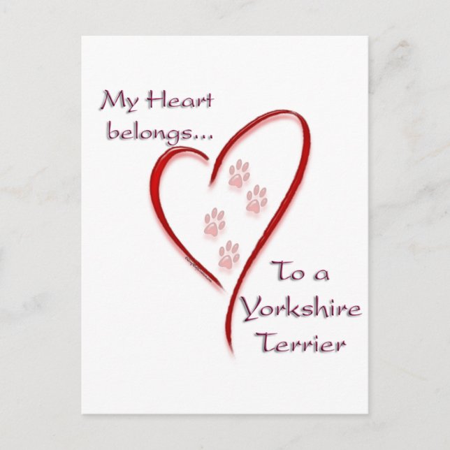 Yorkshire Terrier Heart Belongs Postcard (Front)