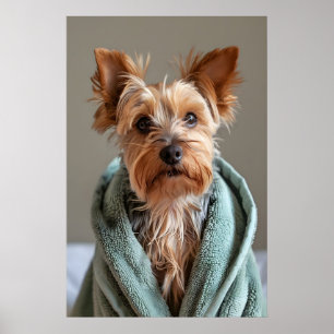 Yorkshire Terrier in Bathrobe, Funny Dog Bathroom Poster