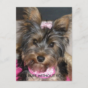 Yorkshire Terrier, IT'S RUFF WITHOUT YOU! Postcard