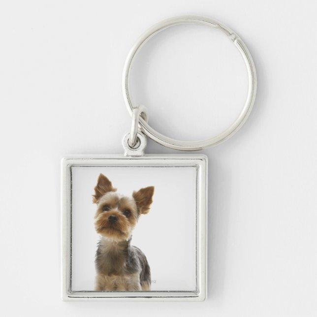Yorkshire Terrier Key Ring (Front)