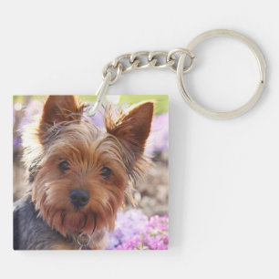 Yorkshire Terrier Key Ring
