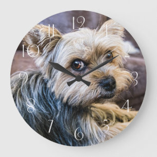 Yorkshire Terrier Large Clock