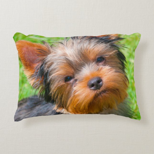 Yorkshire Terrier looking up Decorative Cushion (Front)