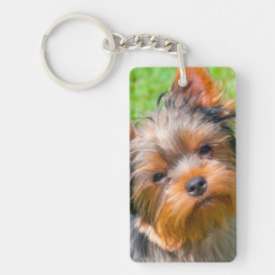 Yorkshire Terrier looking up Key Ring