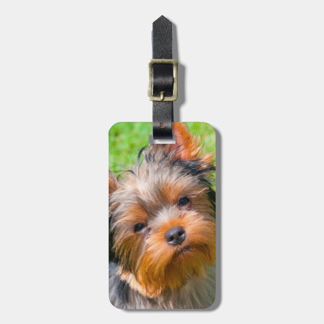 Yorkshire Terrier looking up Luggage Tag (Front Vertical)