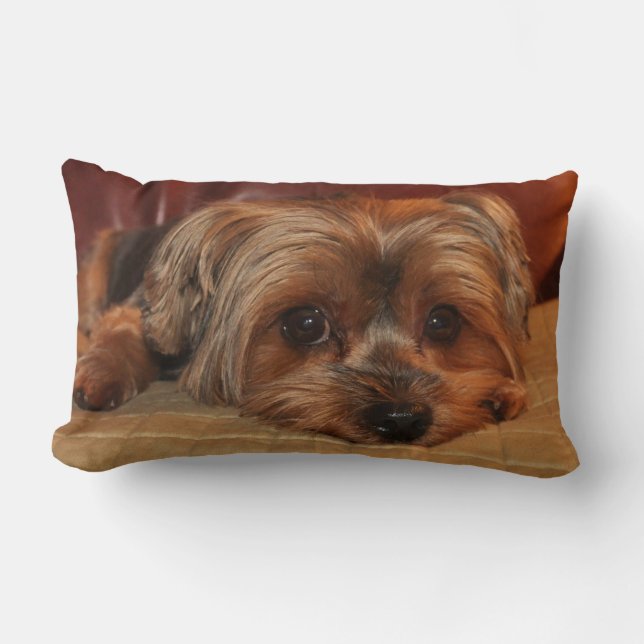 Yorkshire Terrier Lumbar  Pillow (Front)