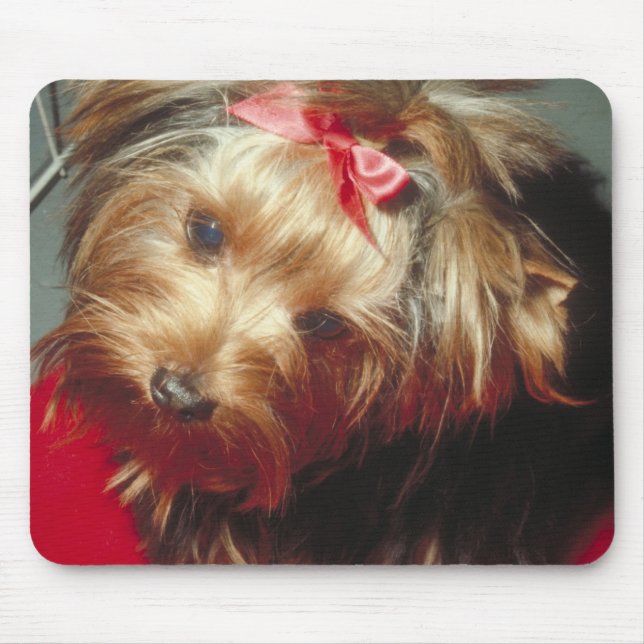 Yorkshire Terrier Mouse Mat (Front)