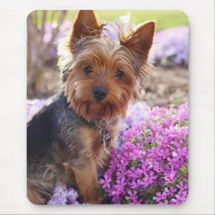 Yorkshire Terrier Mouse Mat