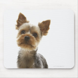 Yorkshire Terrier Mouse Mat