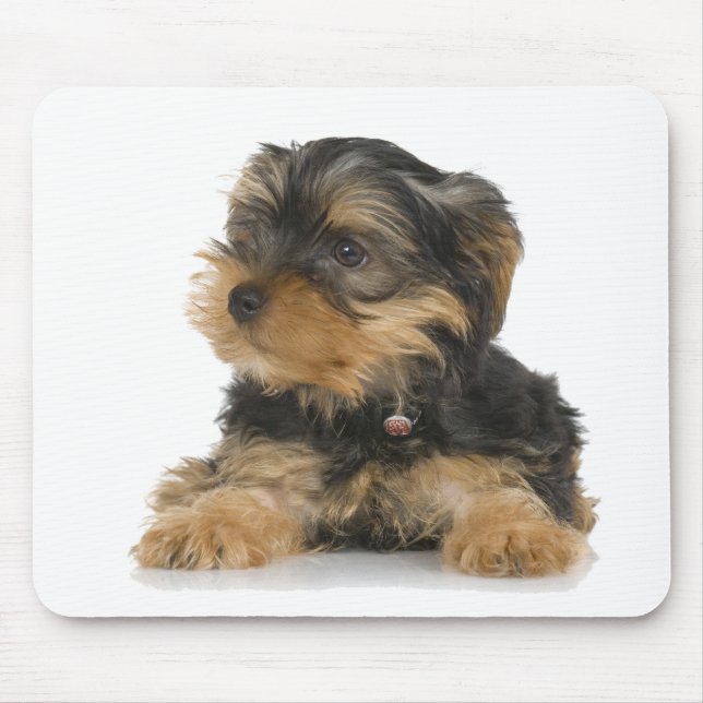 Yorkshire Terrier Mousepad (Front)