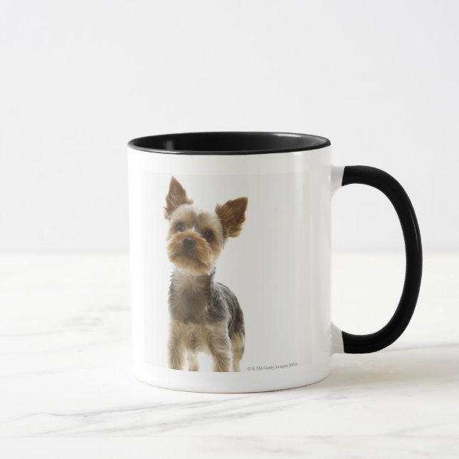 Yorkshire Terrier Mug (Right)