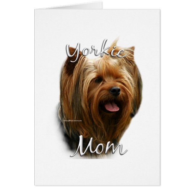Yorkshire Terrier Mum 2 (Front)