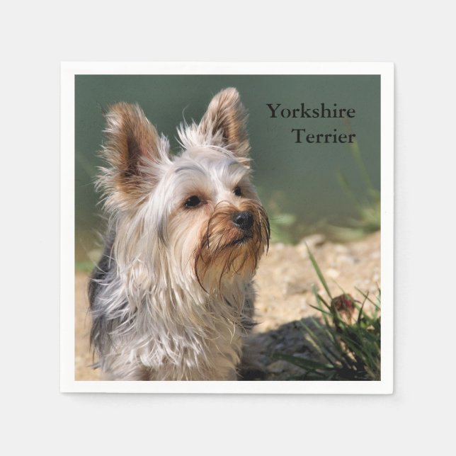 Yorkshire Terrier Napkin (Front)