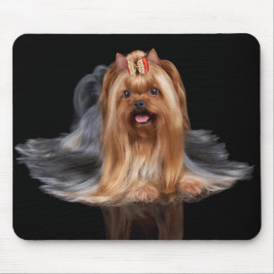 Yorkshire Terrier on black Mouse Mat